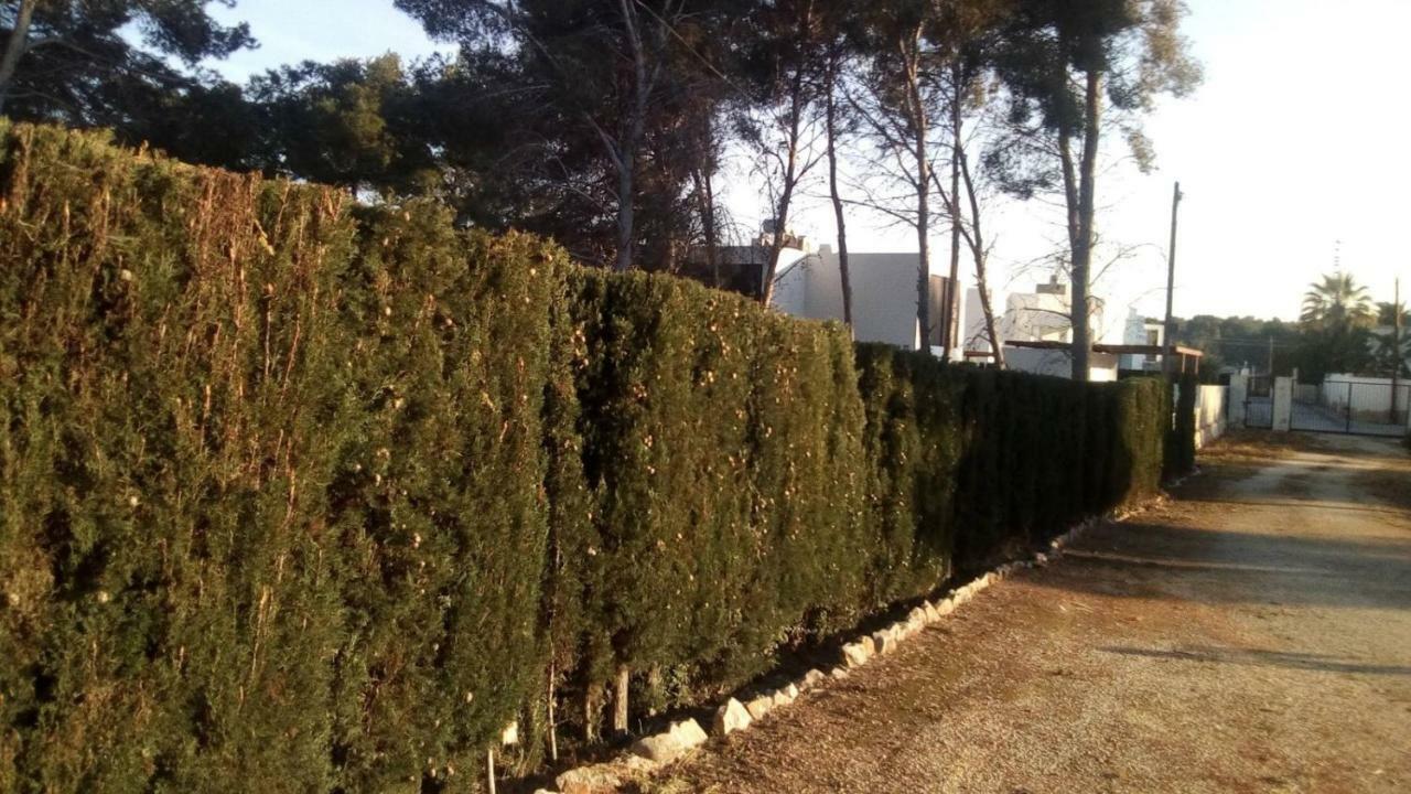 Pinomar Teulada Exterior foto
